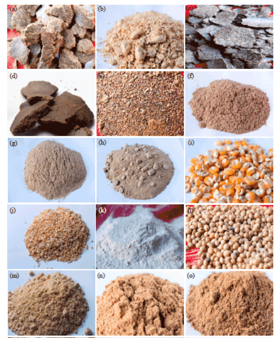 Blue Green Smart Farms Natural Fish Feed Production