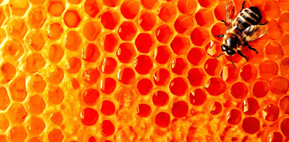 Blue Green Smart Farms Pure Organic Honey